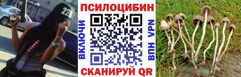 Псилоцибиновые грибы GOLDEN TEACHER  Инсар 